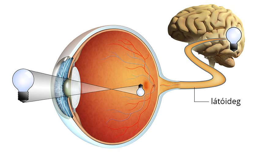 látóideg gyulladás piridoxin-hidroklorid a látáshoz